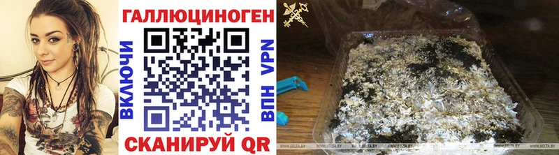 наркота  Малмыж  Псилоцибиновые грибы GOLDEN TEACHER 
